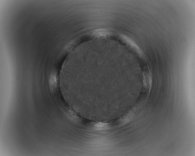 X0000113260718200910221039