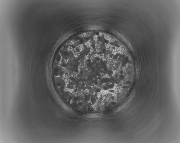 X0000113260721200910221038