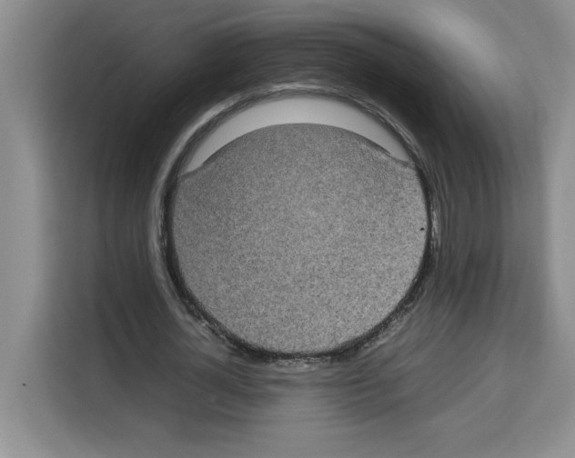 X0000113260724200910221038