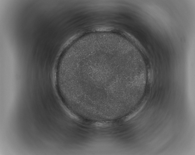 X0000113260725200910221038