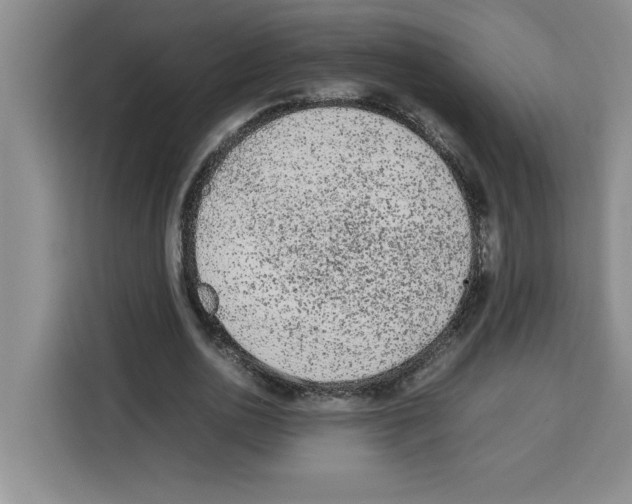 X0000113260726200910221038