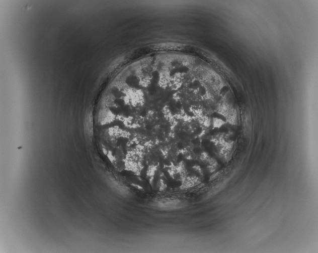 X0000113260729200910221038