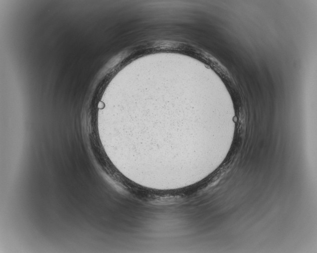 X0000113260734200910221038