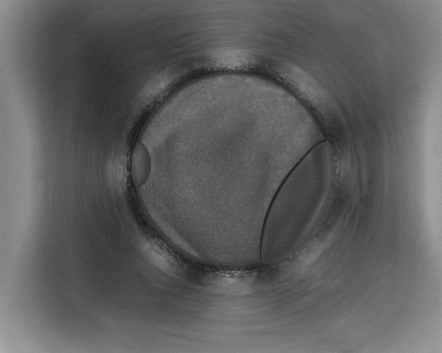 X0000113260736200910221038