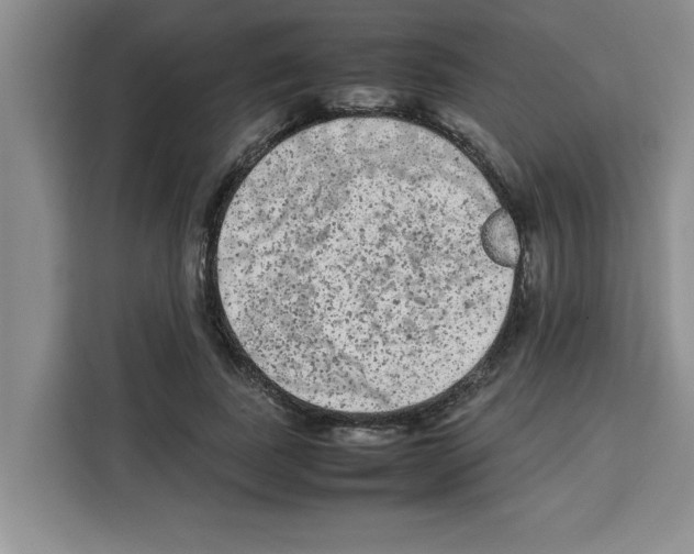 X0000113260739200910221039