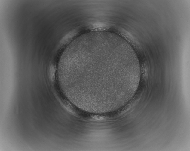 X0000113260742200910221039