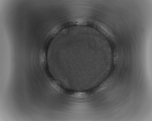 X0000113260748200910221039
