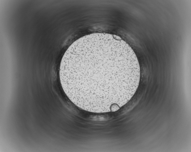 X0000113260751200910221039
