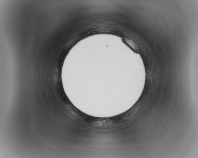 X0000113260752200910221039