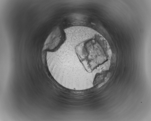 X0000113260753200910221039
