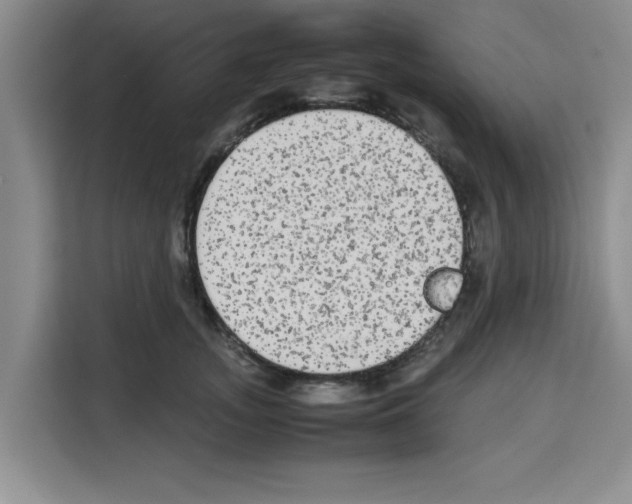 X0000113260755200910221039