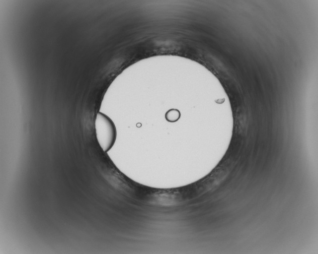 X0000113260756200910221039