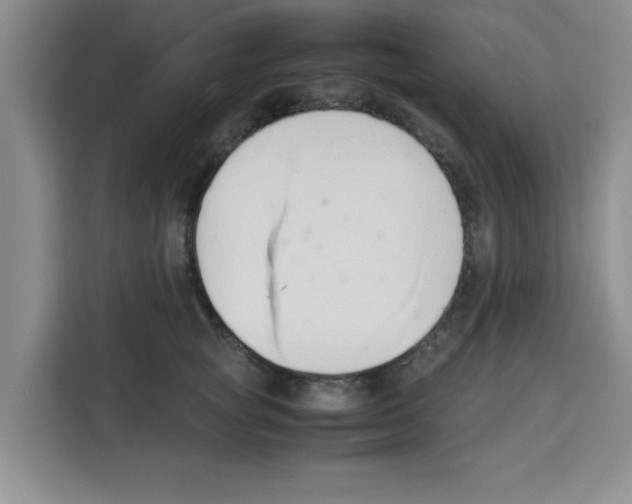 X0000113260757200910221039