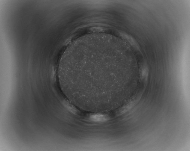 X0000113260759200910221039