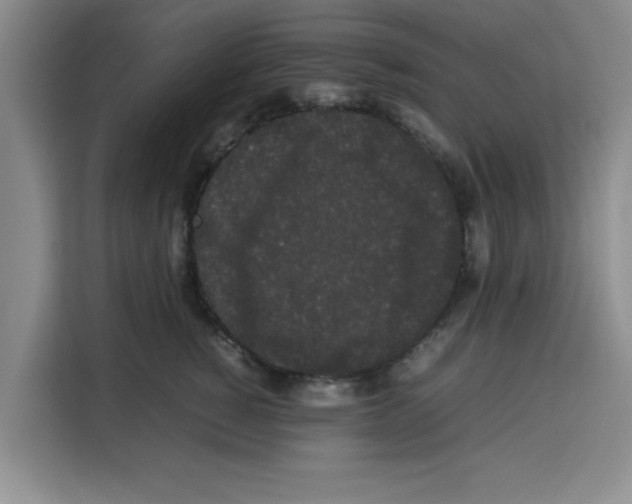 X0000113260760200910221039