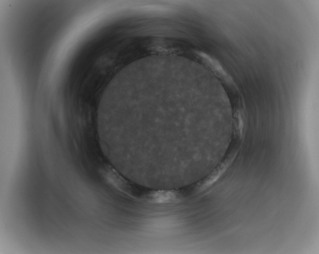 X0000113260762200910221039