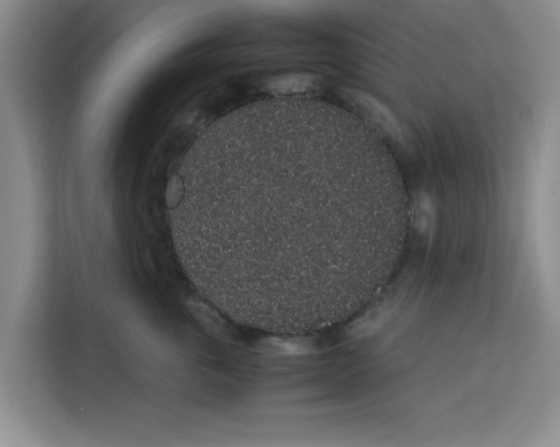 X0000113260763200910221039