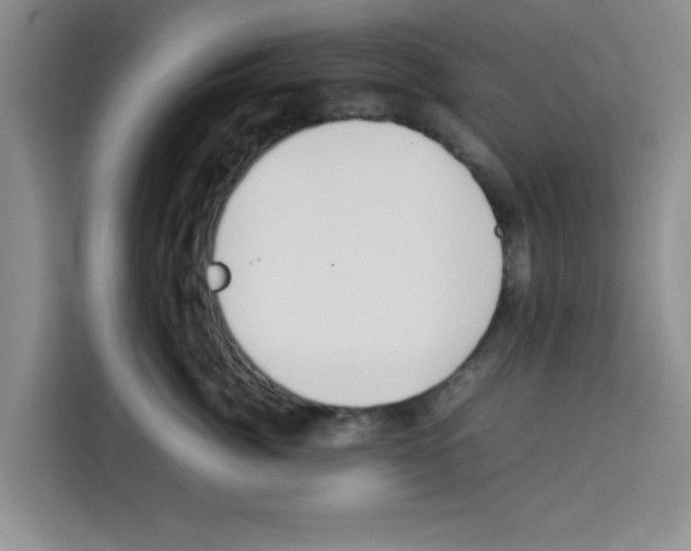 X0000113260764200910221039