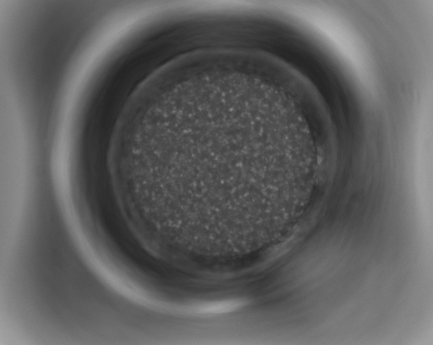 X0000113260765200910221039
