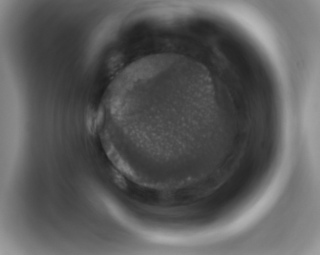 X0000113260766200910221039