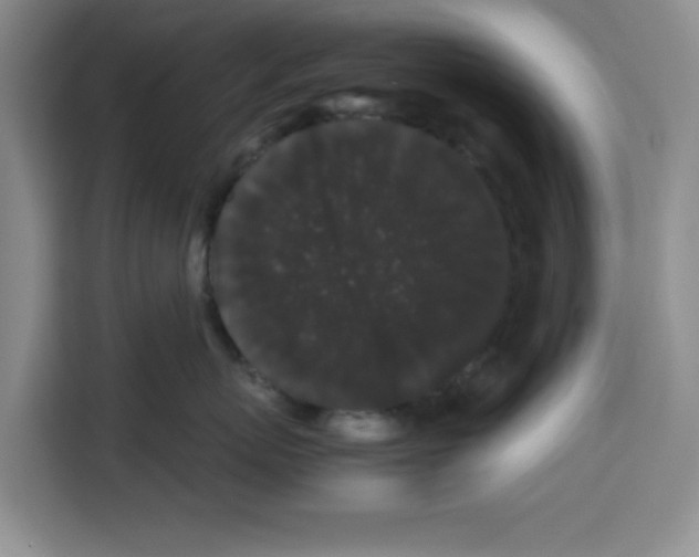 X0000113260767200910221039