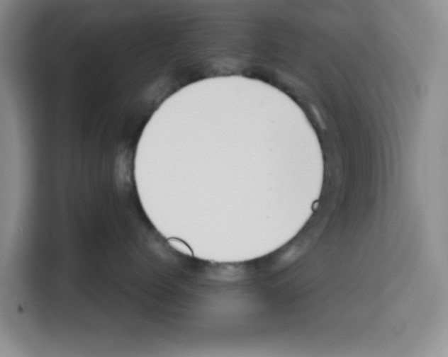 X0000113260768200910221039