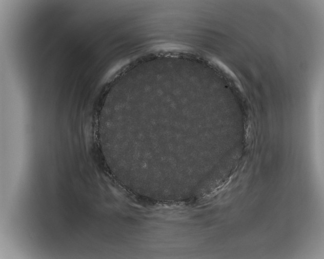 X0000113260775200910221038