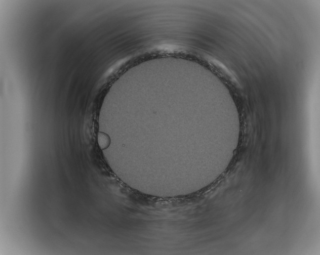 X0000113260776200910221038