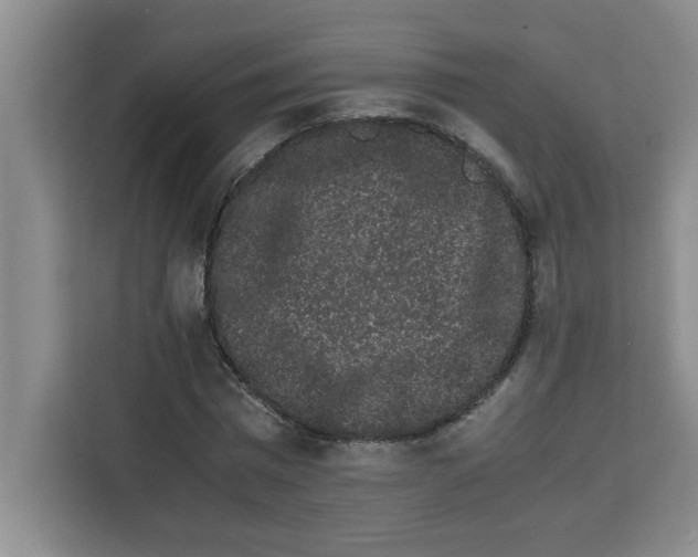 X0000113260777200910221038