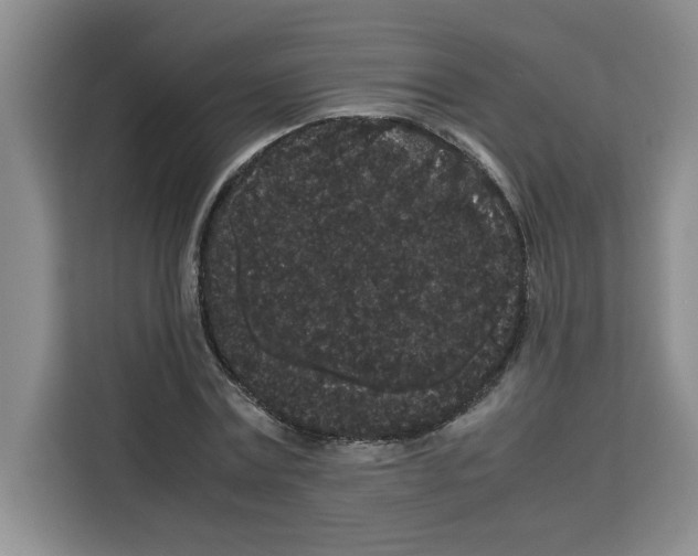 X0000113260779200910221038