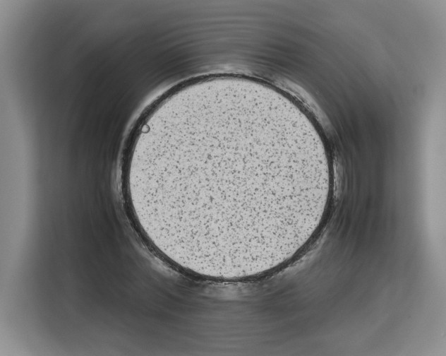 X0000113260780200910221038
