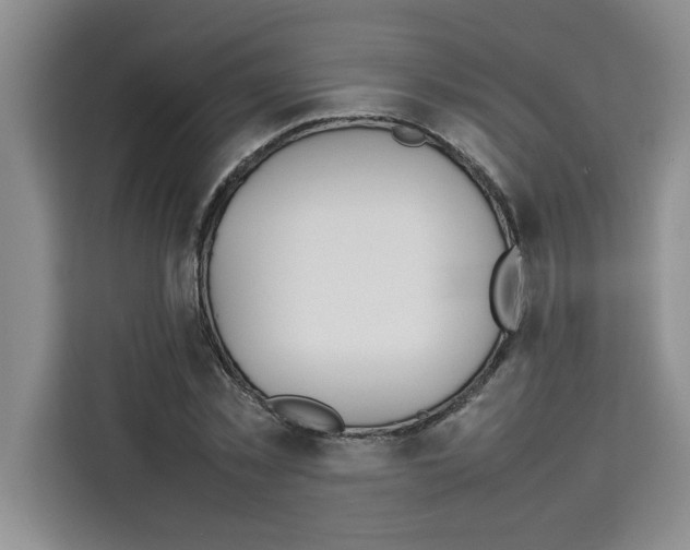 X0000113260781200910221038