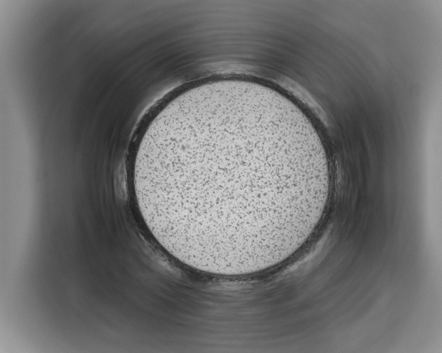 X0000113260782200910221038
