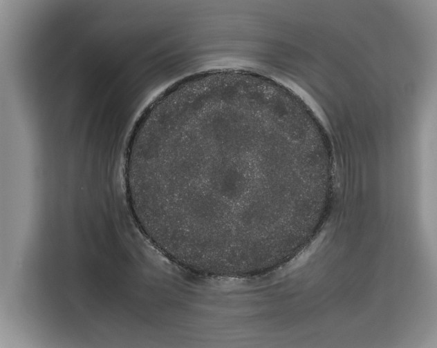 X0000113260783200910221038