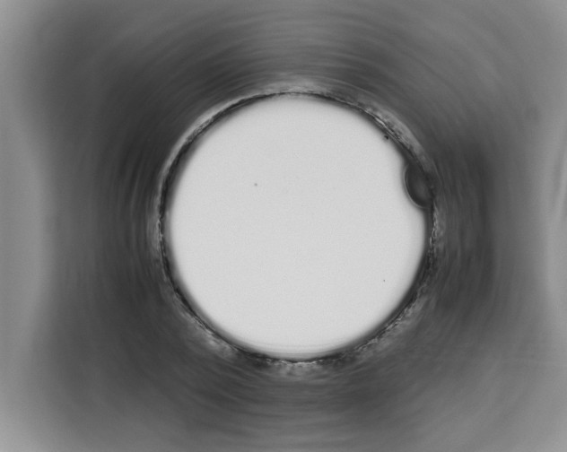 X0000113260784200910221038