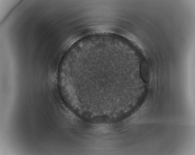 X0000113260785200910221038