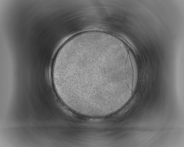 X0000113260788200910221038