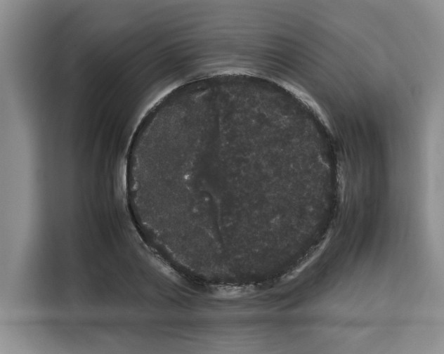 X0000113260790200910221038