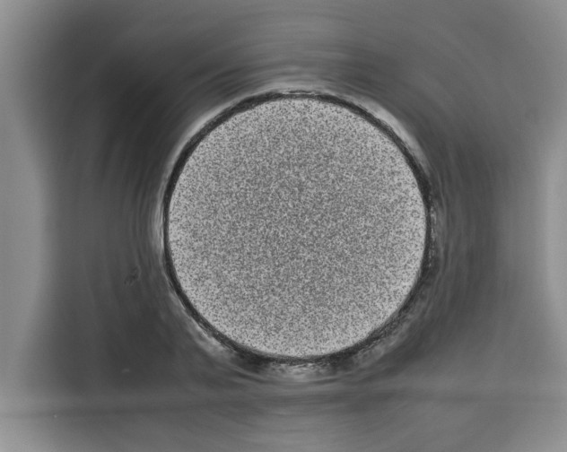X0000113260791200910221038