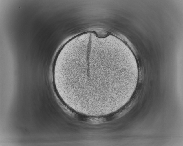 X0000113260795200910221038