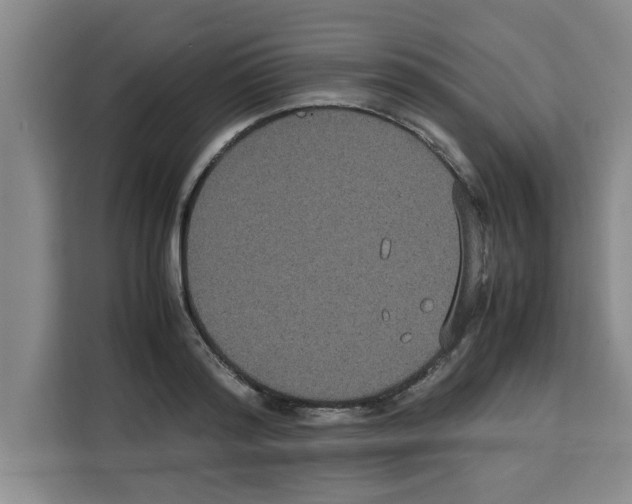 X0000113260796200910221038