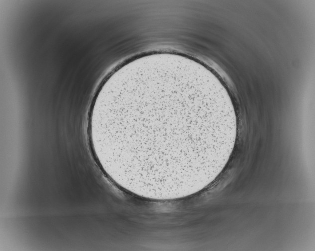 X0000113260799200910221038
