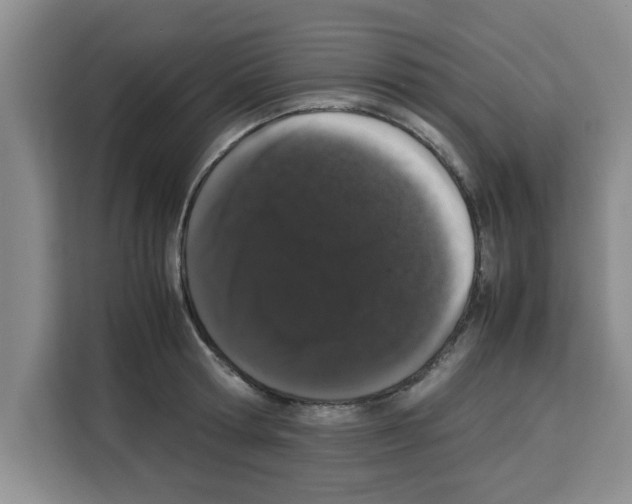 X0000113260802200910221038