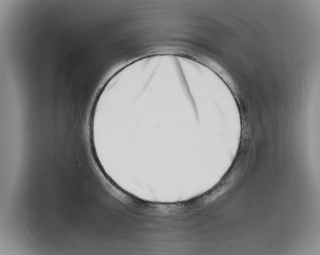 X0000113260803200910221038