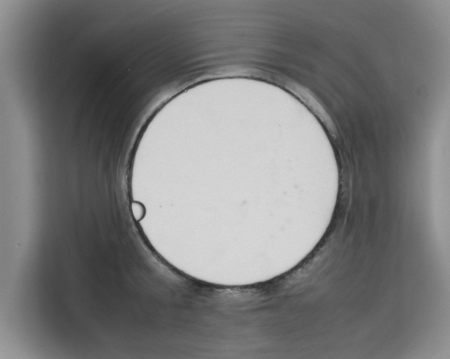 X0000113260805200910221038
