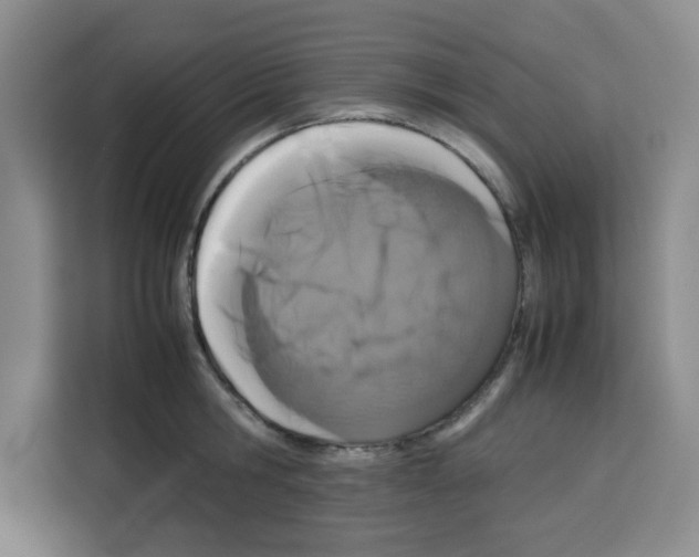 X0000113260806200910221038