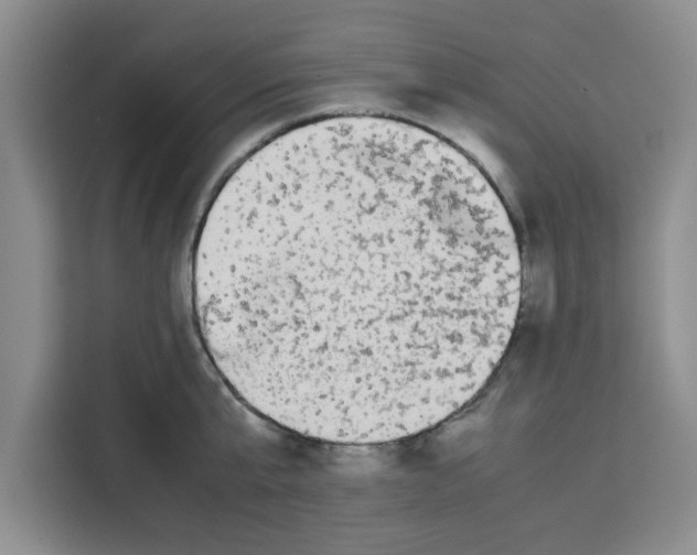 X0000113260807200910221038