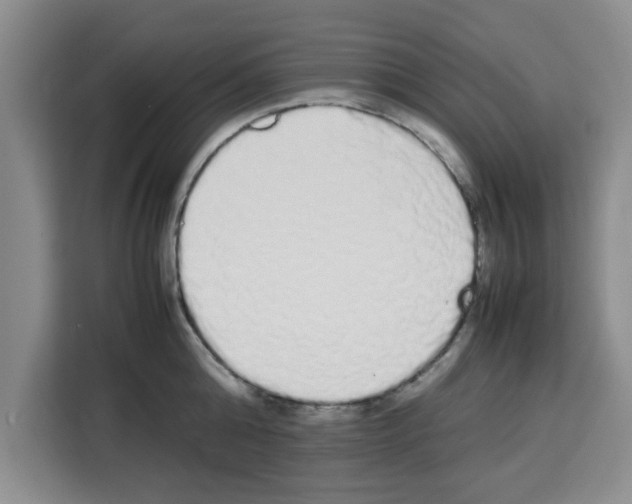 X0000113260808200910221038