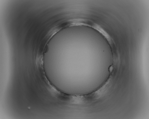 X0000113260809200910221038
