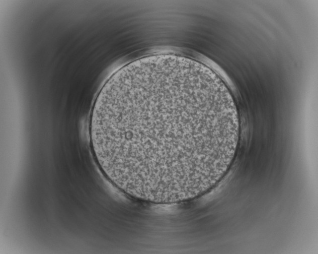 X0000113260810200910221038